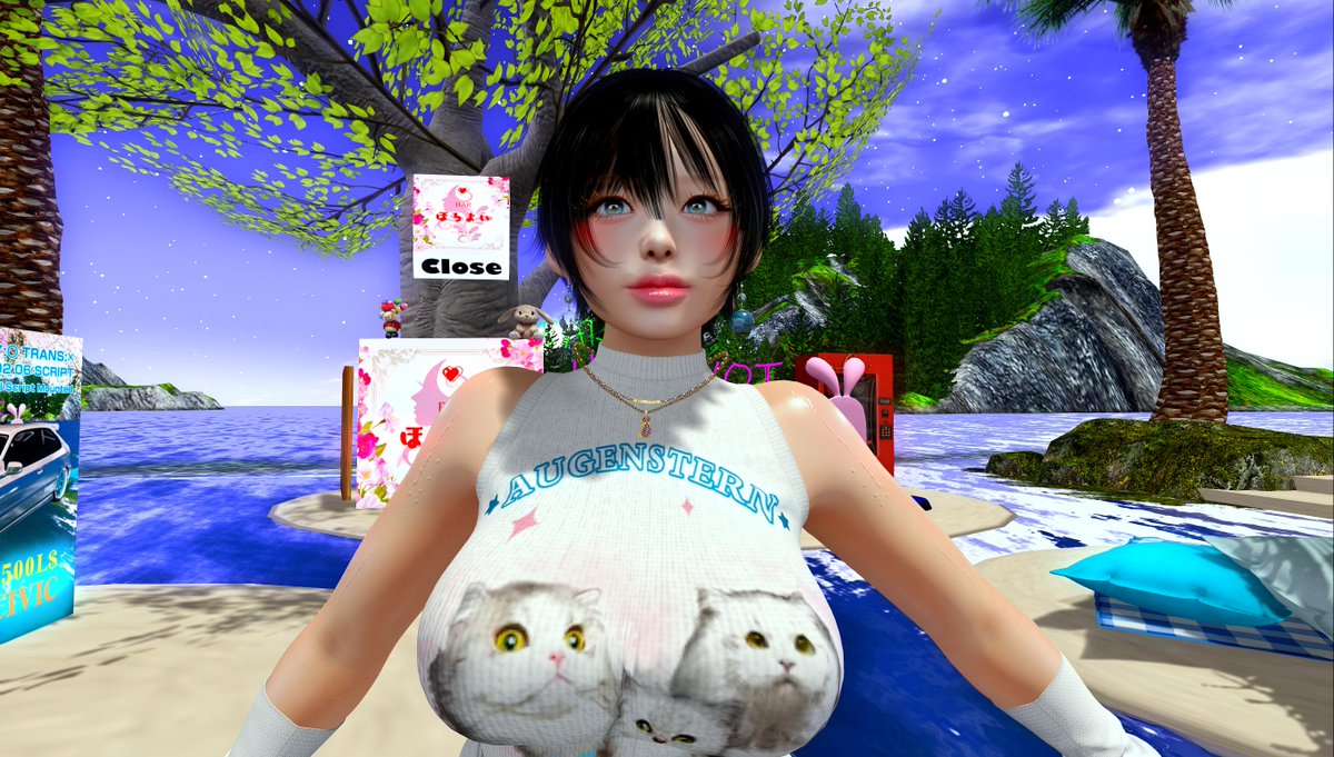 risa_static's tweet photo. BARほろよい開けましたー！
今週は金、土オープン予定です🐱

#SLJP #secondlife
SLなび（アダルト欄）のお店の概要欄をご一読ください。
それを納得された方のみご来店ください。
https://t.co/UGfaeiFPsK https://t.co/kUT8IKh5Am