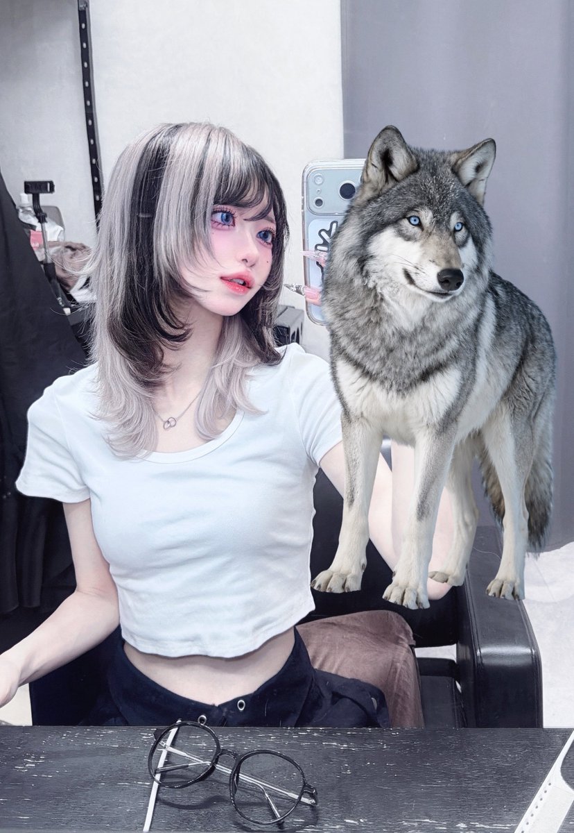Liii_Riii's tweet photo. 狼イメージで髪の毛染めたら良すぎる🐺💎 https://t.co/PuNRGvWY2h