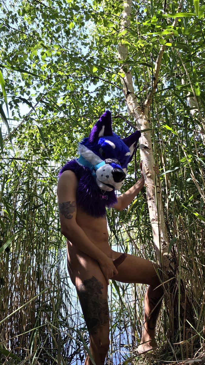 Apollo_Wusky_AD's tweet photo. The Wusky is visiting the nudist swimming lake once again!😋

Link to my channel:
https://t.co/at0qeQhaSL

@Apollo_Wusky_AD https://t.co/dsdYA7ox5h
