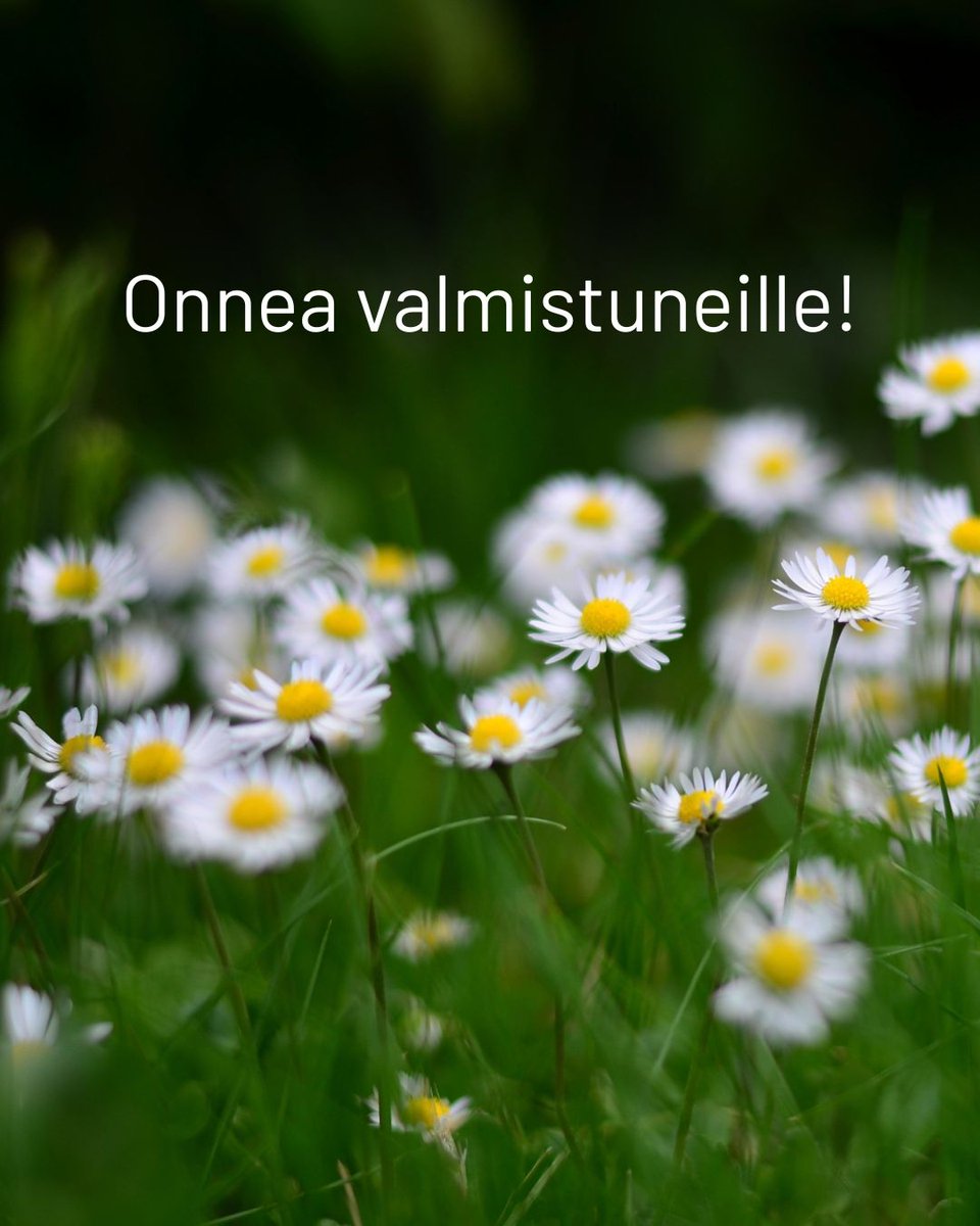 TechFinland's tweet photo. Onnea kaikille valmistuneille ja kouluvuotensa päättäneille – voitte olla todella ylpeitä itsestänne! 🌸 Nyt on kesän ja juhlan aika! ✨ https://t.co/jZApNaGy74