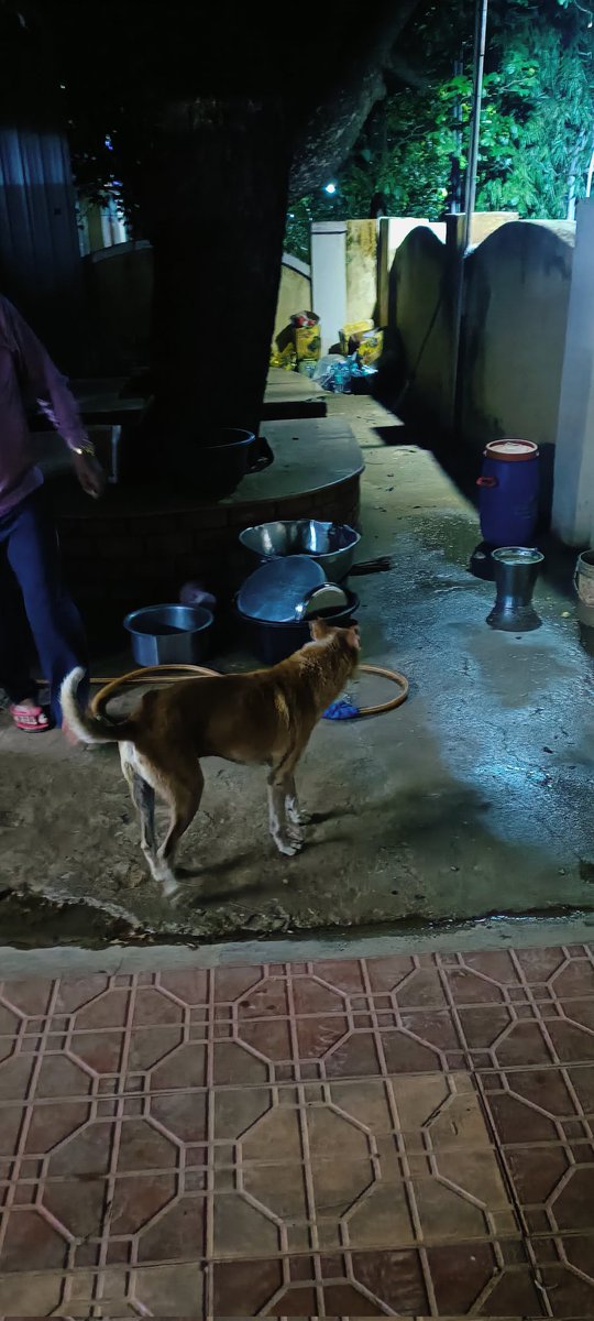 Sunny100Nice's tweet photo. This is the kitchen and eating area of DMM rest room.TTEs and dogs both enjoyed the meal in same https://t.co/KxExquaxLS proper kitchen area/fencing.forced to take food in poor and unhygienic open area.@RailMinIndia @AshwiniVaishnaw @drmgtl @RailwaySeva @gmscrailway @PMOIndia https://t.co/cXOzPPhaW2