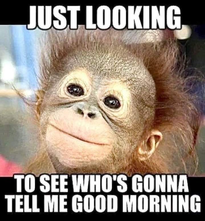 💜🇺🇸TraceyLee🇺🇸💜 tweet media