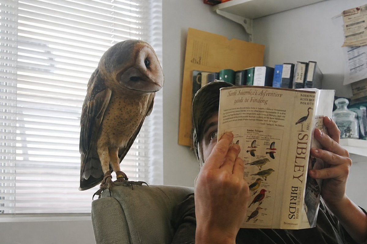 owltwting's tweet photo. "oh so you're reading about me" https://t.co/ixd2t0G356