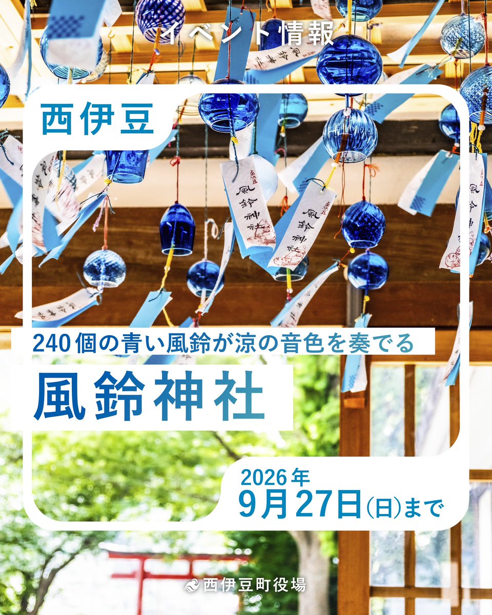 info_nishiizu's tweet photo. 今年も #西伊豆町 の夏の恒例イベント #風鈴神社 を開催します🎐✨
240個の青い風鈴が涼の音色を奏でます🩵

数量限定販売の「ご祈祷済み青い風鈴」は、毎年早々に売り切れますので、お求めの方はお早めに #黄金崎クリスタルパーク までお越しください🎐

https://t.co/QjzknYEGzR https://t.co/Q2qqpaNrTO