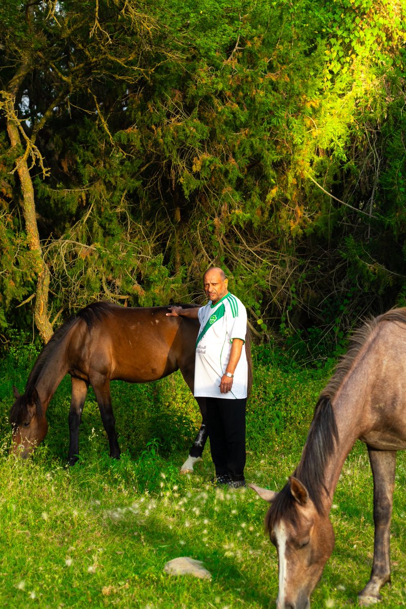 Moha_l1's tweet photo. بين الخيل والطبيعة… تبدأ الحكاية 🐎🌳. https://t.co/I5P8rGuB7X