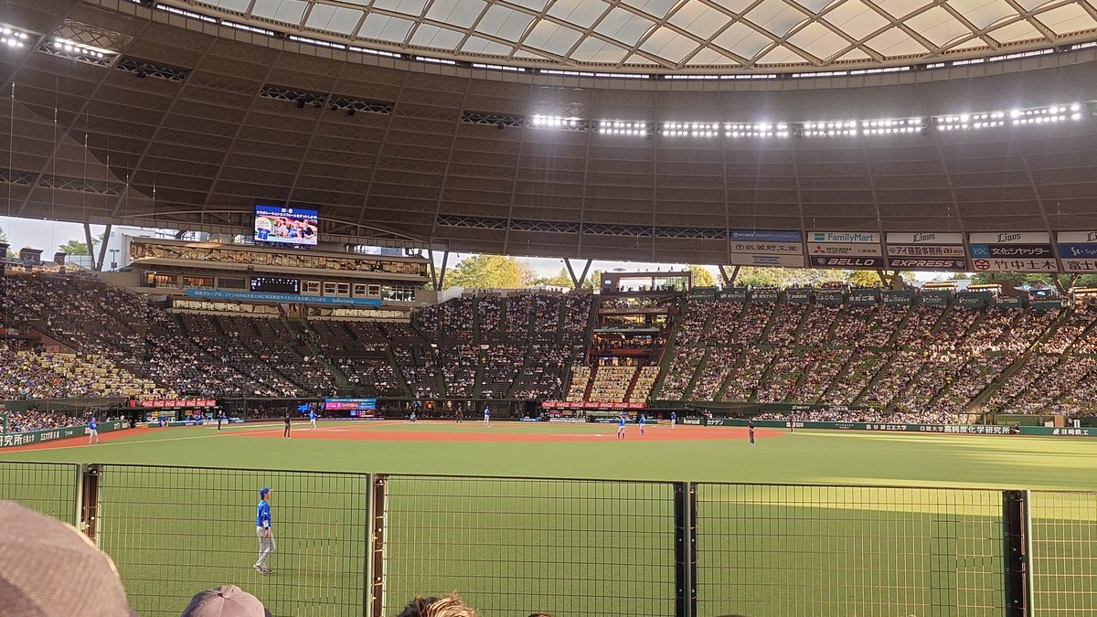 s_star0806's tweet photo. めちゃめちゃハムスターがライオンに狩られてる https://t.co/KetjGSJbDS