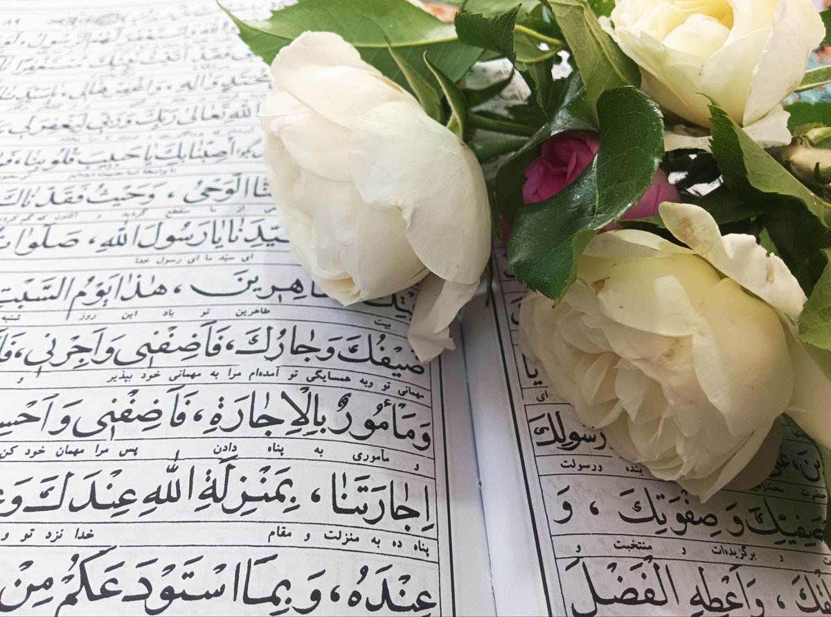 NMahdya's tweet photo. خدایا چطور میتوان بهتر زندگی کرد
خدا جواب دادگذشته ات را
بدون هیچ تاسفی بپذیر
با اعتماد زمان حالت را بگذران
 بدون ترس برای آینده آماده شو
ایمان را نگه دار 
ترس رابه گوشه ای انداز
شک هایت را باور نکن
هیچ گاه به باورهایت شک نکن
زندگی شگفت انگیز است
فقط اگر بدانید که چطور زندگی کنید https://t.co/vqNpSOkUSw