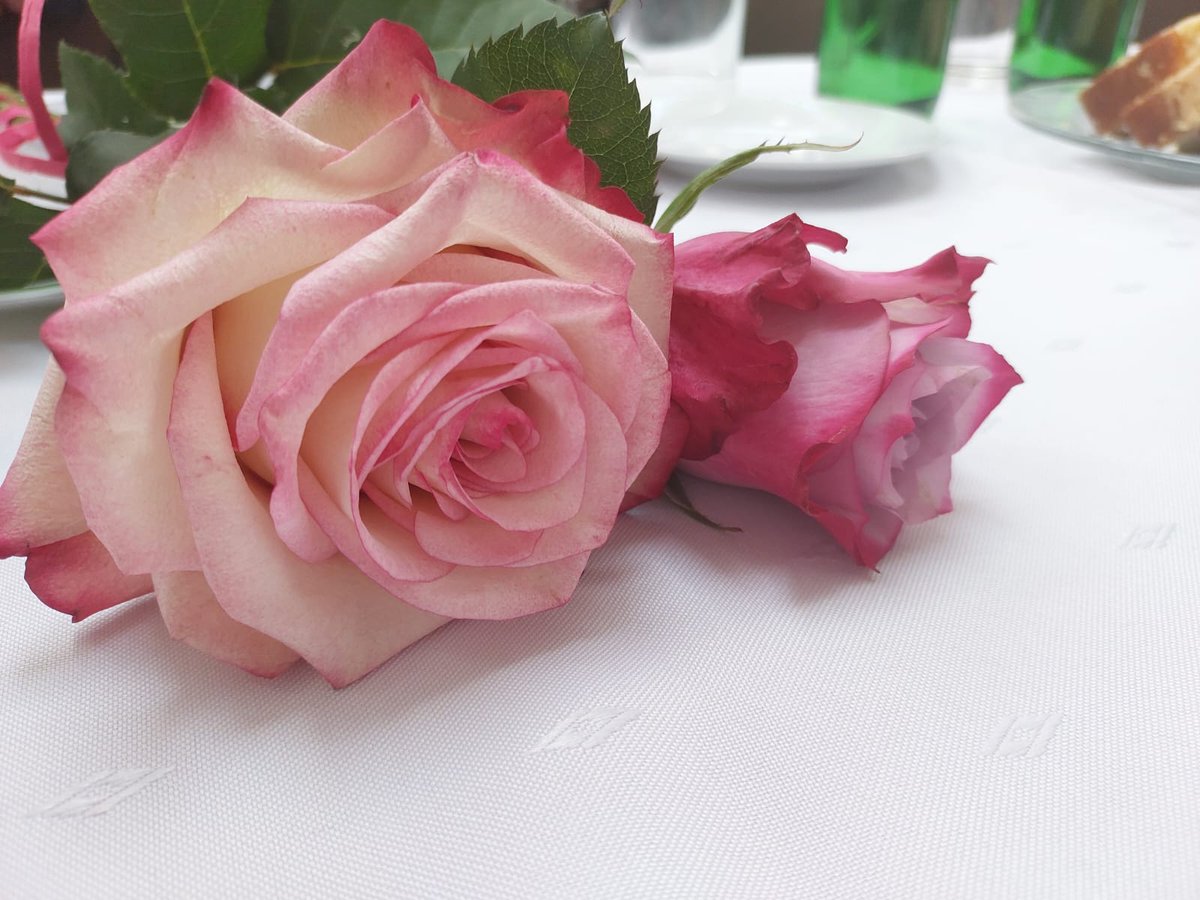 SeniorPlus2's tweet photo. Wzruszające spotkanie w Miejskim Klubie Seniora Witomino z okazji Dnia Matki.
https://t.co/YBtelOzY3s https://t.co/69eGHvY0JN