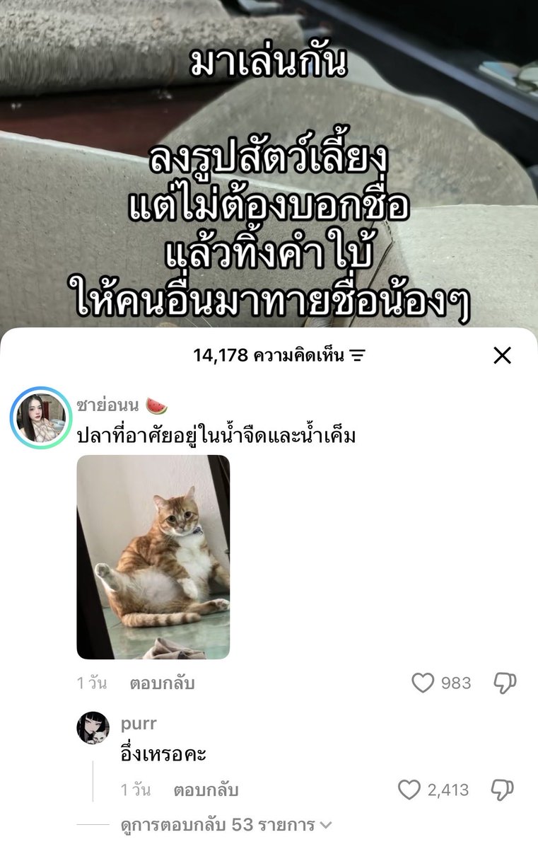 MNormalll's tweet photo. ขำมากช่วยด้วย5555555555555555555555
#ทาสแมว #ทาสหมา #สัตว์เลี้ยง https://t.co/l875Av6yY8