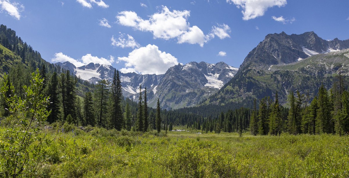 EmbaixadaRusPt's tweet photo. 📸 Reserva natural de Katun nas montanhas de Altai / Катунский заповедник в горах Алтая https://t.co/qRXpfdflya