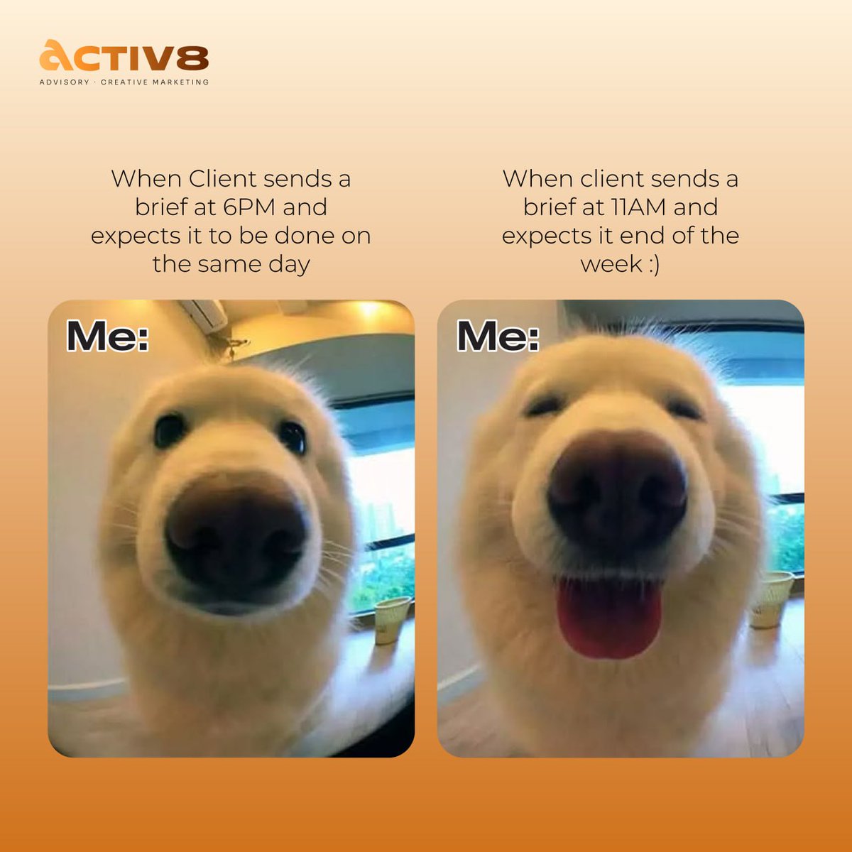 activ8lab's tweet photo. We all know that 1 client ... https://t.co/xQExNNGKgc