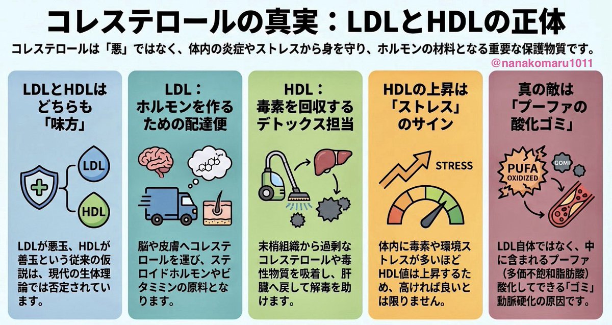 nanakomaru1011 tweet picture