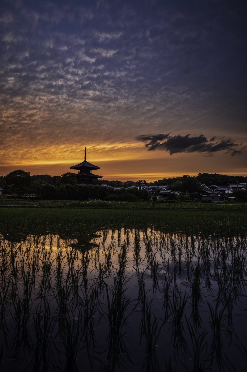 maybeeeeem's tweet photo. ある夏の帰り道 https://t.co/oWo1rj62bN