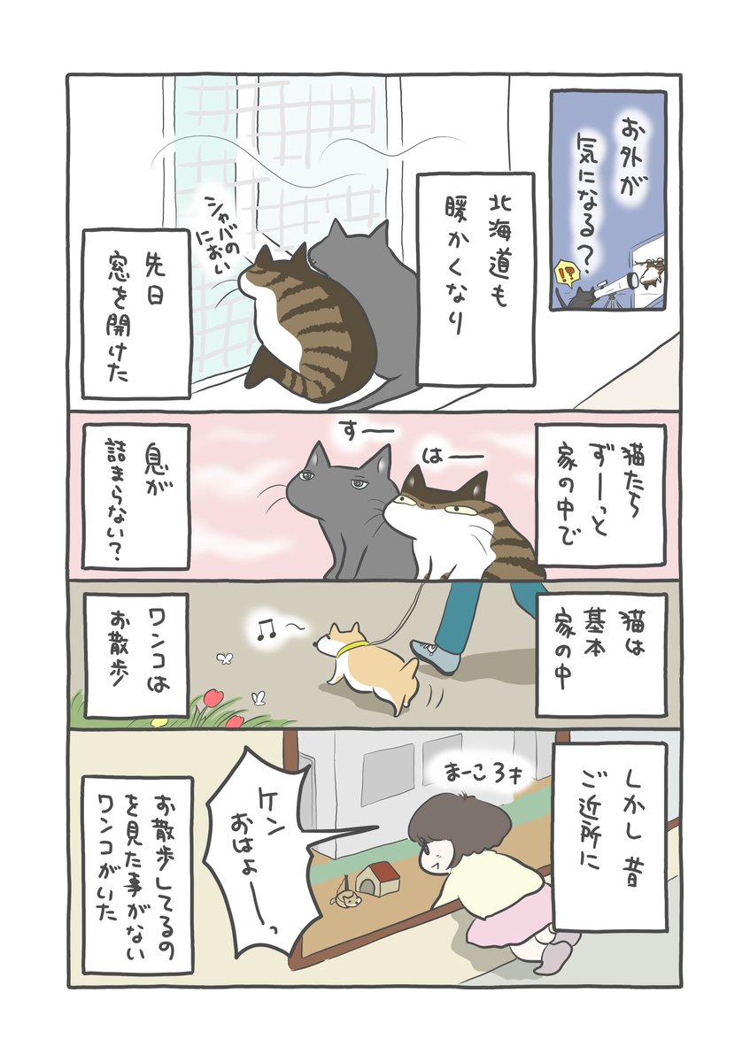 さっちん🐒 (@sachi_7744) / Posts / X