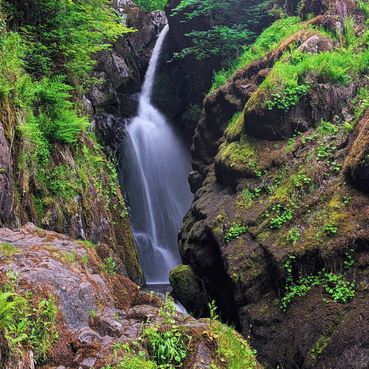 pauld32's tweet photo. Morning hike https://t.co/RdUsh95Uos