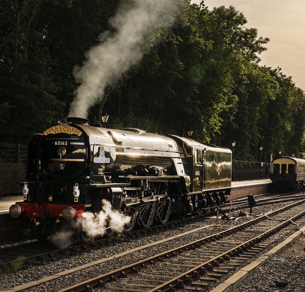 mikespencerpics's tweet photo. Couple from yesterday's GC Reunification Fundraising Gala Dinner.
'Tornado' at Ruddington Fields, glinting in the evening light and lit as it got dark.
@GcrGreat 
@GCRNottingham 
@60163_Tornado 
#foxandedwardsevents
@bbcemt 
@RailwayMagazine https://t.co/DRxw37AkMm