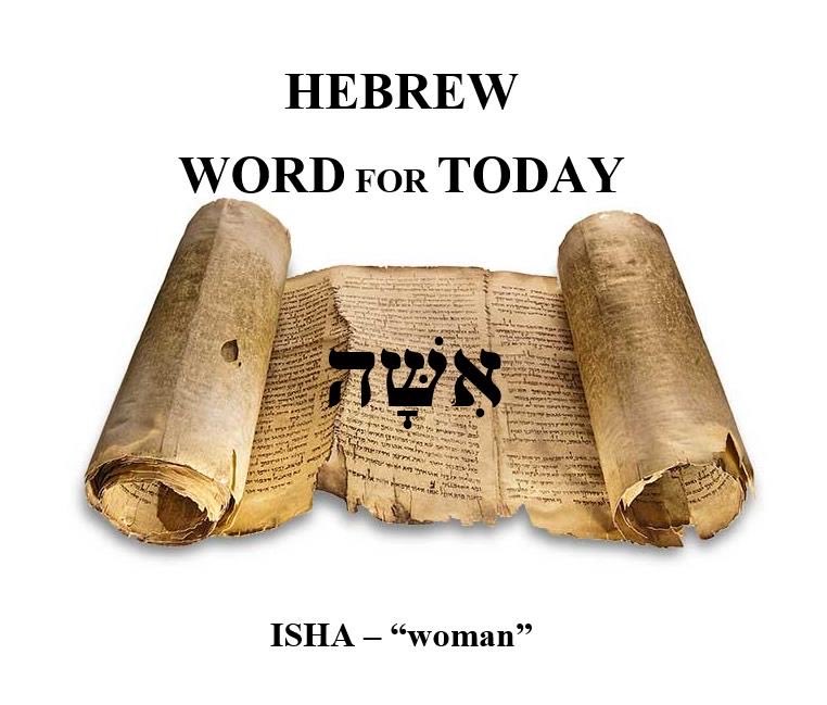 PhilNorcom's tweet photo. ISHA – “woman”

“And the rib that the LORD God had taken from the man he made into an isha (woman) and brought her to the man. Then the man said, “This at last is bone of my bones and flesh of my flesh; she shall be called woman because she was taken out of Man.”(Genesis 2:22-24) https://t.co/AO8kjkFdag