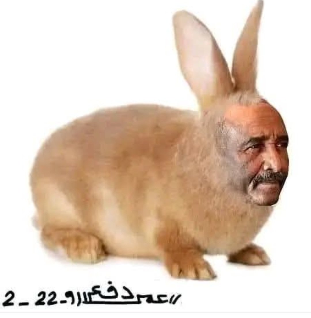 3..Ja*lj*al tweet media