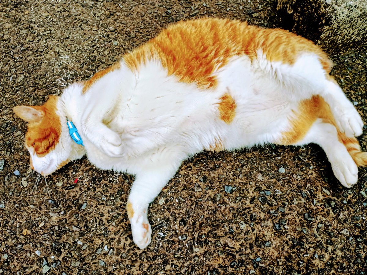 mahi928's tweet photo. 5/29（金）☀夜勤明け

サウナと
　ぴーさんと
　　キリン一番搾り糖質0

#サウナイキタイ
#オリジナルTシャツ
#ビールも飲みたい https://t.co/onQLUkElP8