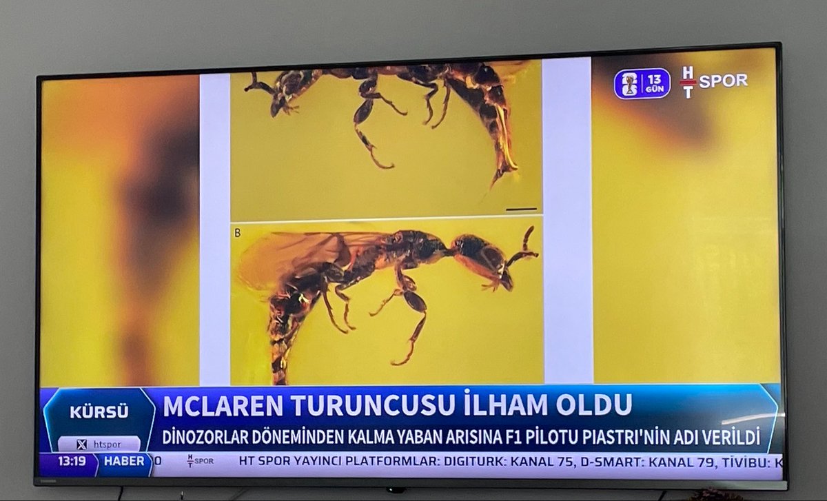 oscbratri's tweet photo. OSCAR PIASTRI IS IN THE NEWS IN TURKEY HELLO😭😭??? https://t.co/AFiejs8iva