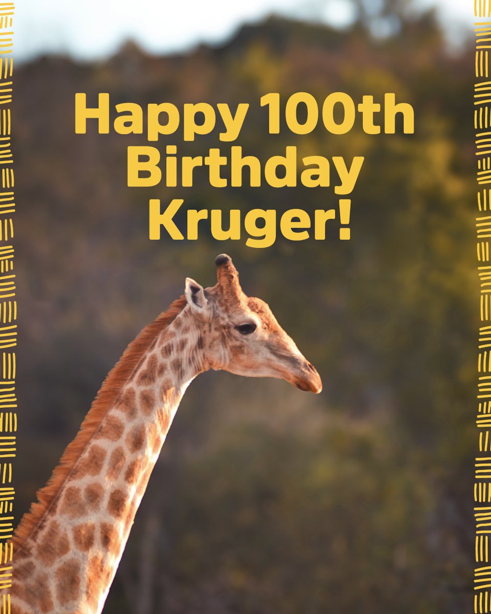 southafricauk's tweet photo. Happy 100th Birthday Kruger! 🥳🎂🎉 

#HappyBirthdayKruger #KrugerNationalPark https://t.co/H63Qw66PYJ