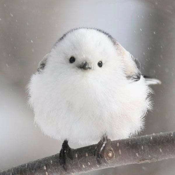 ㅊ tweet media