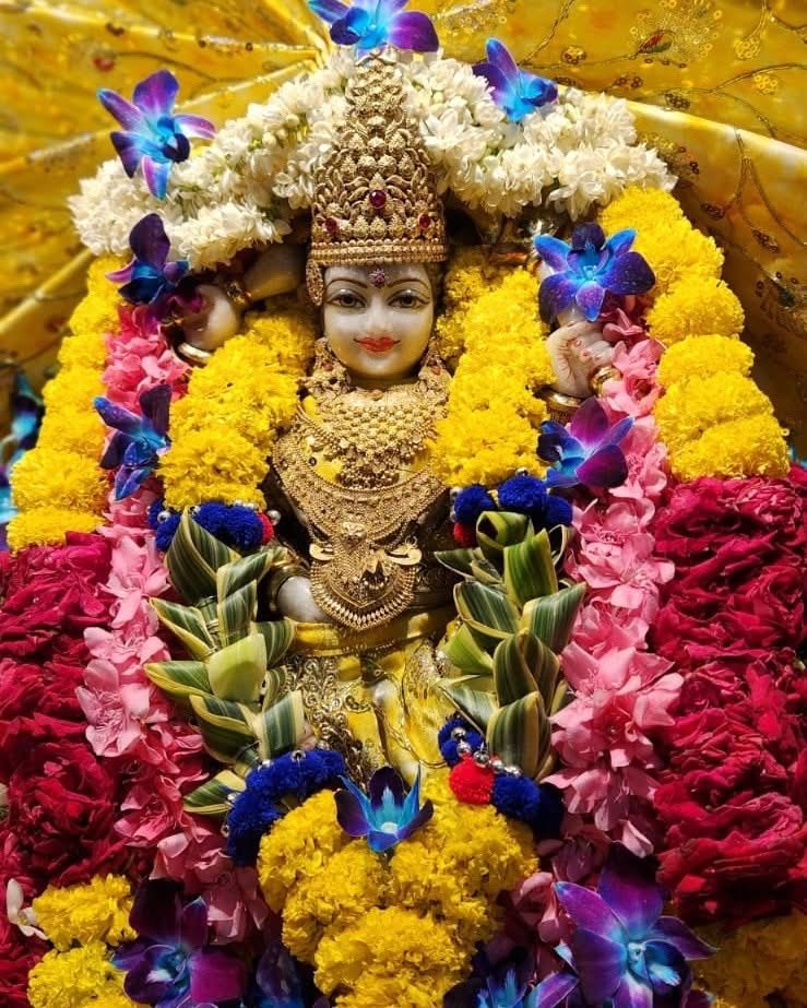 Maa BaglaMukhi Mandir tweet media