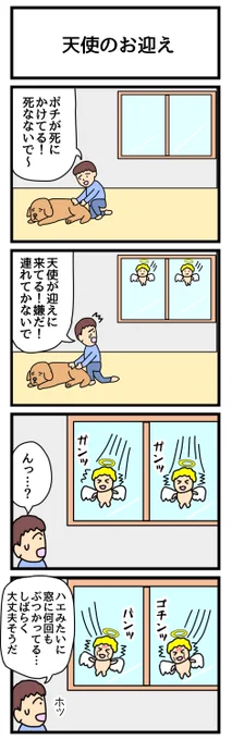 天使のお迎え
#4コマ漫画 