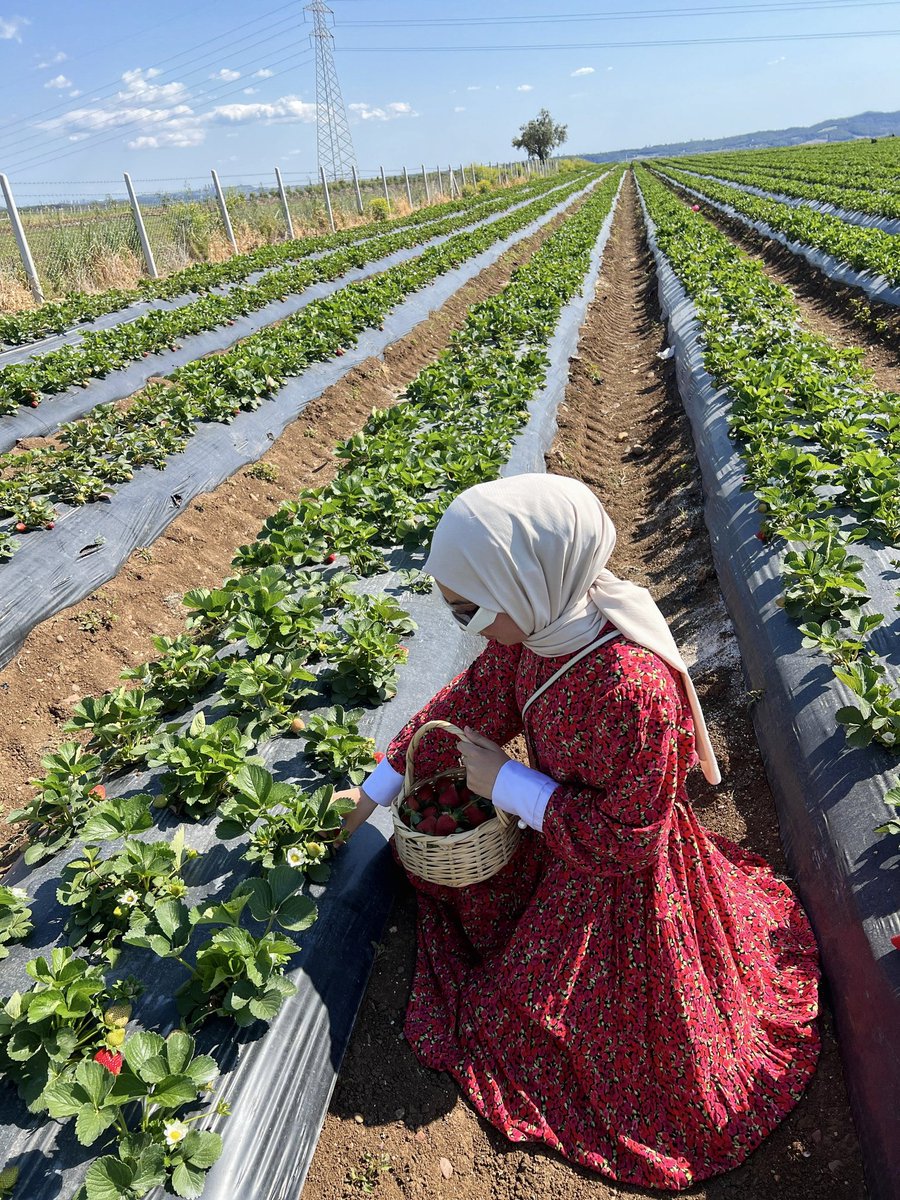 SongulErz's tweet photo. Aşkım her yere göre mood, her mooda göre kombin yapıyoruz 🍓♥️ https://t.co/n7TSiKTVUX