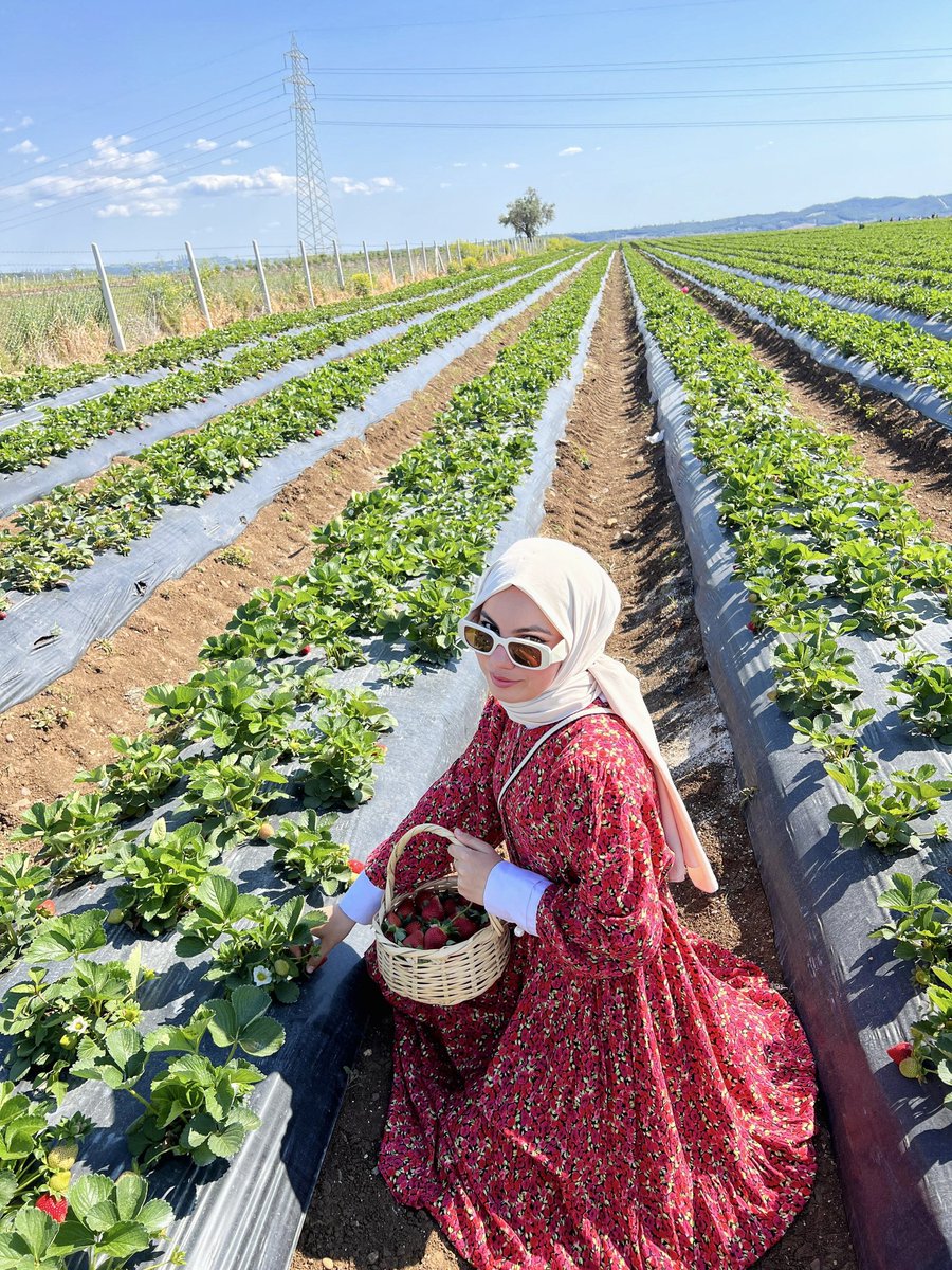 SongulErz's tweet photo. Aşkım her yere göre mood, her mooda göre kombin yapıyoruz 🍓♥️ https://t.co/n7TSiKTVUX