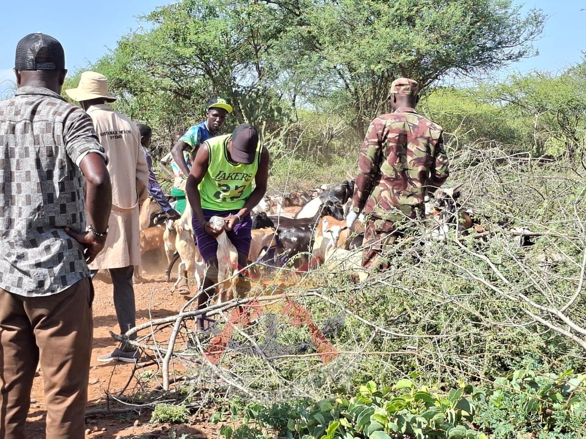 kdfinfo's tweet photo. Integrated humanitarian outreach programmes remain a critical role in improving access to essential healthcare services, supporting livelihoods and strengthening resilience among vulnerable communities in remote and underserved regions. By combining medical and veterinary interventions, such initiatives not only address immediate health concerns but also contribute to long-term community wellbeing and economic stability. See more: https://t.co/cYLQmuiOzn