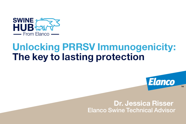 Swinewebcom's tweet photo. Unlocking PRRSV Immunogenicity: The key to lasting protection: By: Dr. Jessica Risser, Swine Technical Advisor: https://t.co/jHTd341Zl8 https://t.co/GRFlIEC1V3