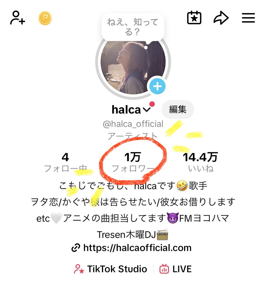halcaスタッフ tweet media