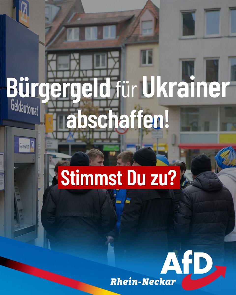 AfD Rhein Neckar tweet media