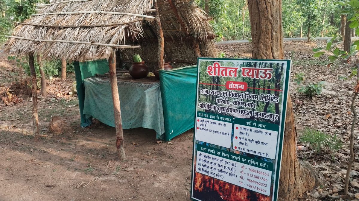 ForestCgGov's tweet photo. 🌿💧 प्यास भी बुझे, जंगल भी बचे! 🔥🌳

वन विकास निगम, जगदलपुर द्वारा भीषण गर्मी में आमजन एवं राहगीरों के लिए सार्वजनिक प्याऊ की व्यवस्था की गई है। इसके साथ ही ग्रामीणों एवं नागरिकों को वनाग्नि (Forest Fire) से जंगलों की सुरक्षा के लिए जागरूक किया जा रहा है।

आइए, ठंडा पानी पीने के साथ यह संकल्प भी लें—
✅ जलती बीड़ी-सिगरेट या माचिस की तीली जंगल में न फेंकें।
✅ महुआ एवं अन्य लघु वनोपज संग्रहण के दौरान आग का उपयोग न करें।
✅ कहीं भी जंगल में आग दिखाई दे तो तत्काल वन विभाग को सूचना दें।

आपकी छोटी सी सावधानी, हमारे अमूल्य वनों और वन्यजीवों की सुरक्षा का आधार है।

#ForestFire #SaveForest #VanVikasNigam #Jagdalpur #ForestProtection #Bastar
