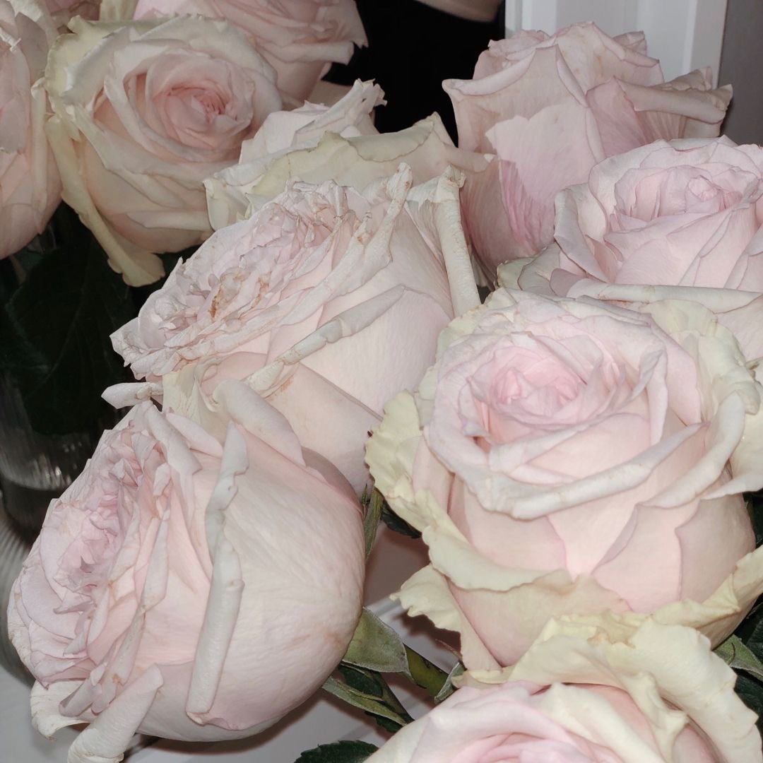 jolie ✿ tweet media