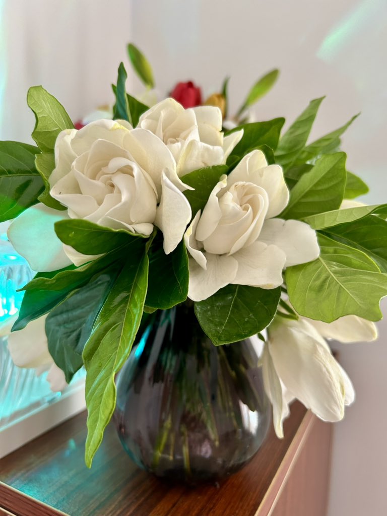 TingWu1982's tweet photo. 再见了五月👋 只要身体健康，心情愉悦，其他都不重要！ 
❤️☺️ https://t.co/iRVAz45Ole