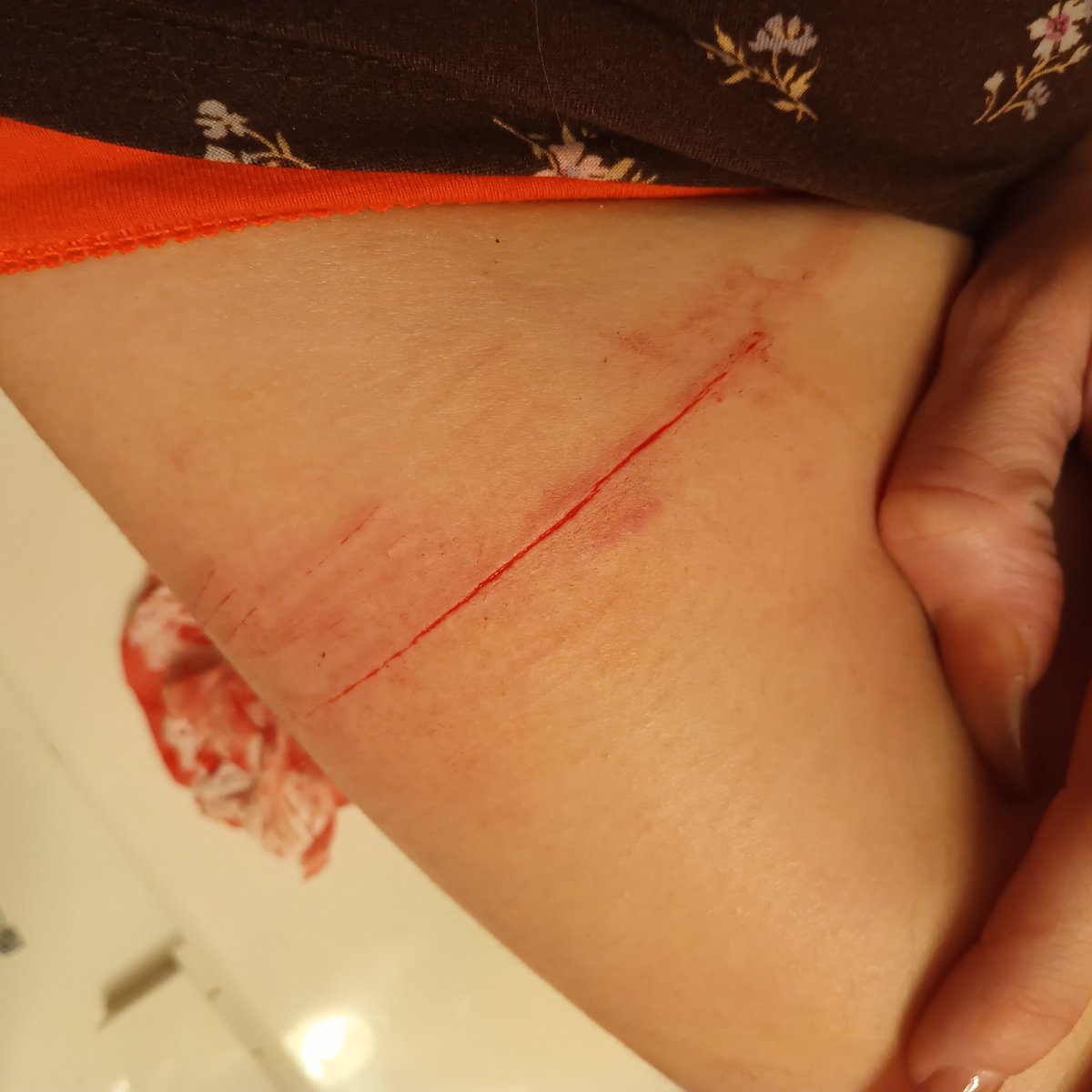 ItsObviLina's tweet photo. Well this is awkward | long cut mostly styro some baby beans very thin tho #shtwt #shedtwt https://t.co/nSEXWGaOR2