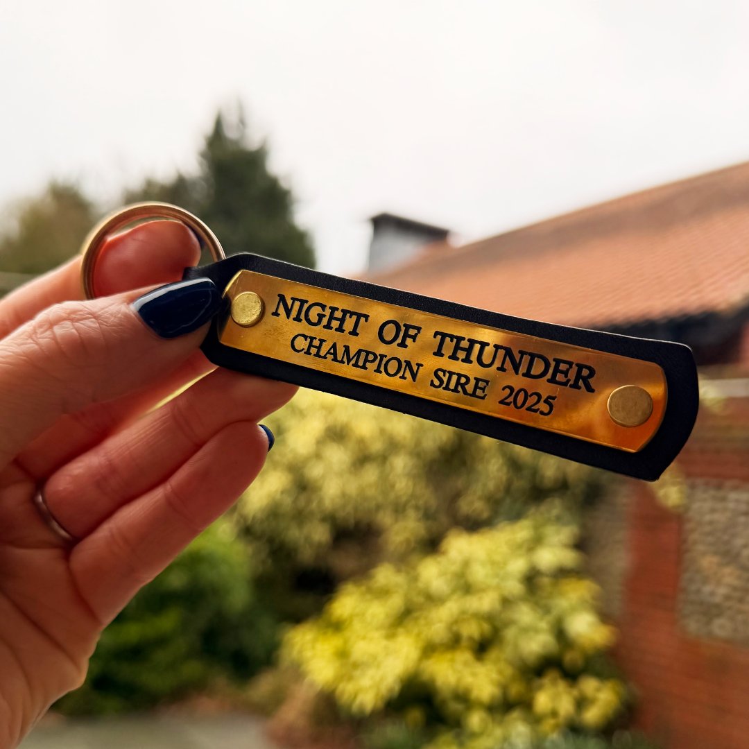 godolphin's tweet photo. 🇬🇧 A thrilling win for Ombudsman last night in the G3 Brigadier Gerard Stakes @Sandownpark. Don't forgot #ShopGodolphin have a cap featuring his three G1 wins 🙌🧢

You can even add to your collection a keyring featuring the name of his Champion sire, #NightOfThunder ⚡

Head to https://t.co/7r5MYM2qUW and get yours!
#WearTheBlue | #OnecolourOneteam
