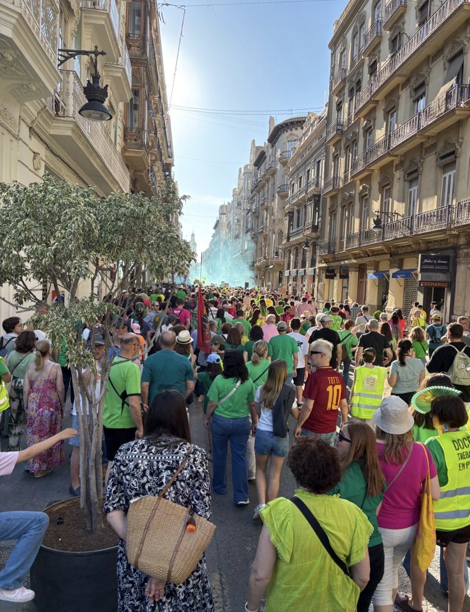 Marea verde tweet media