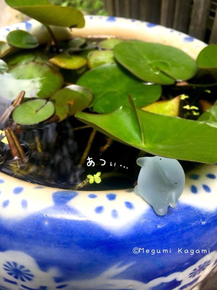 415megu's tweet photo. もうなつ？
#おとも #ガラス 
#ガラスのおとも https://t.co/PEhysklLLy