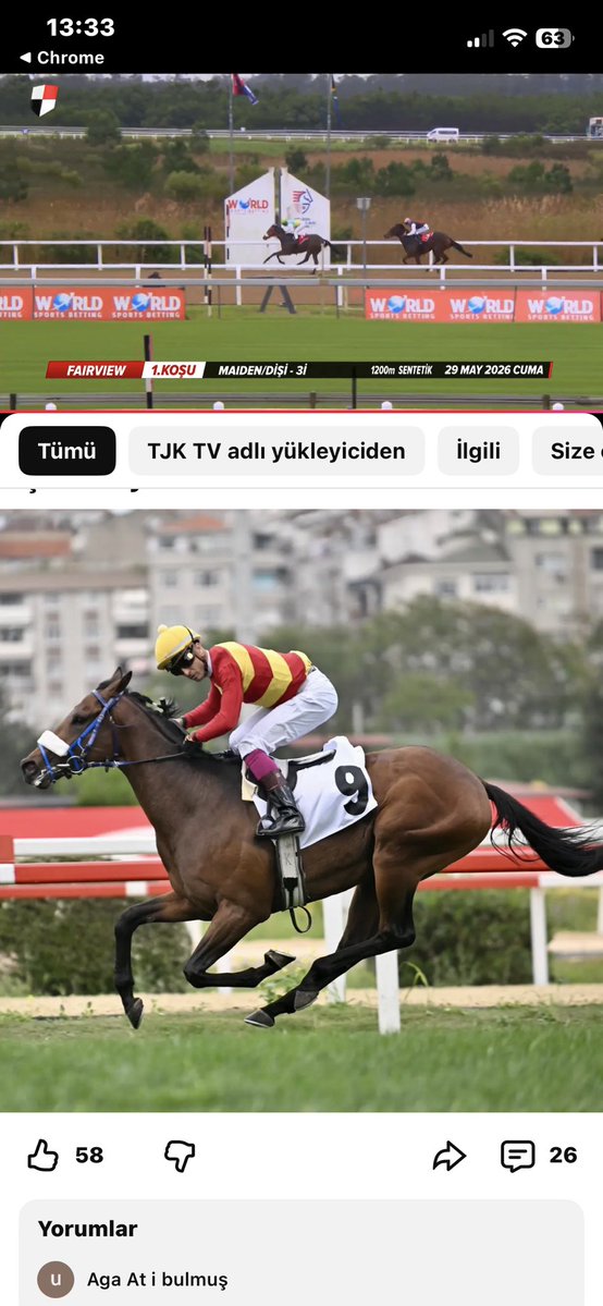 yabanciyarisuzm's tweet photo. Ne dediysek o bankoyla başladık
9-WİLD STAR 🏆✅ https://t.co/BnBay6rEaC
