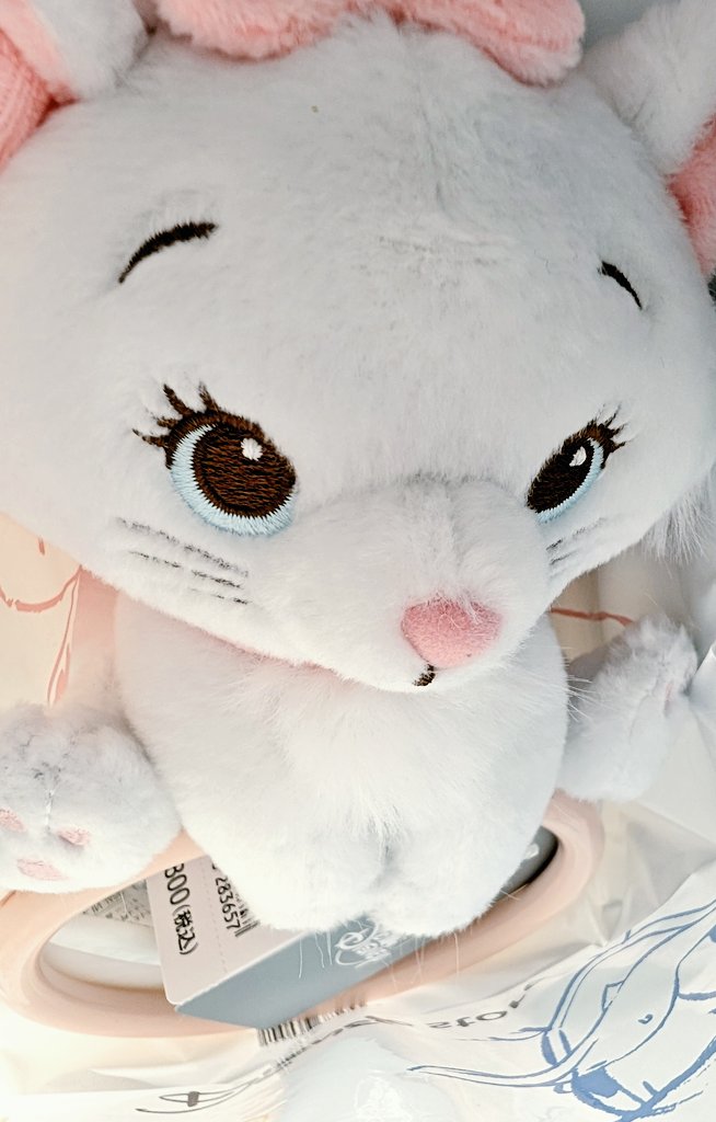🐇結局こうなるんですよ tweet media