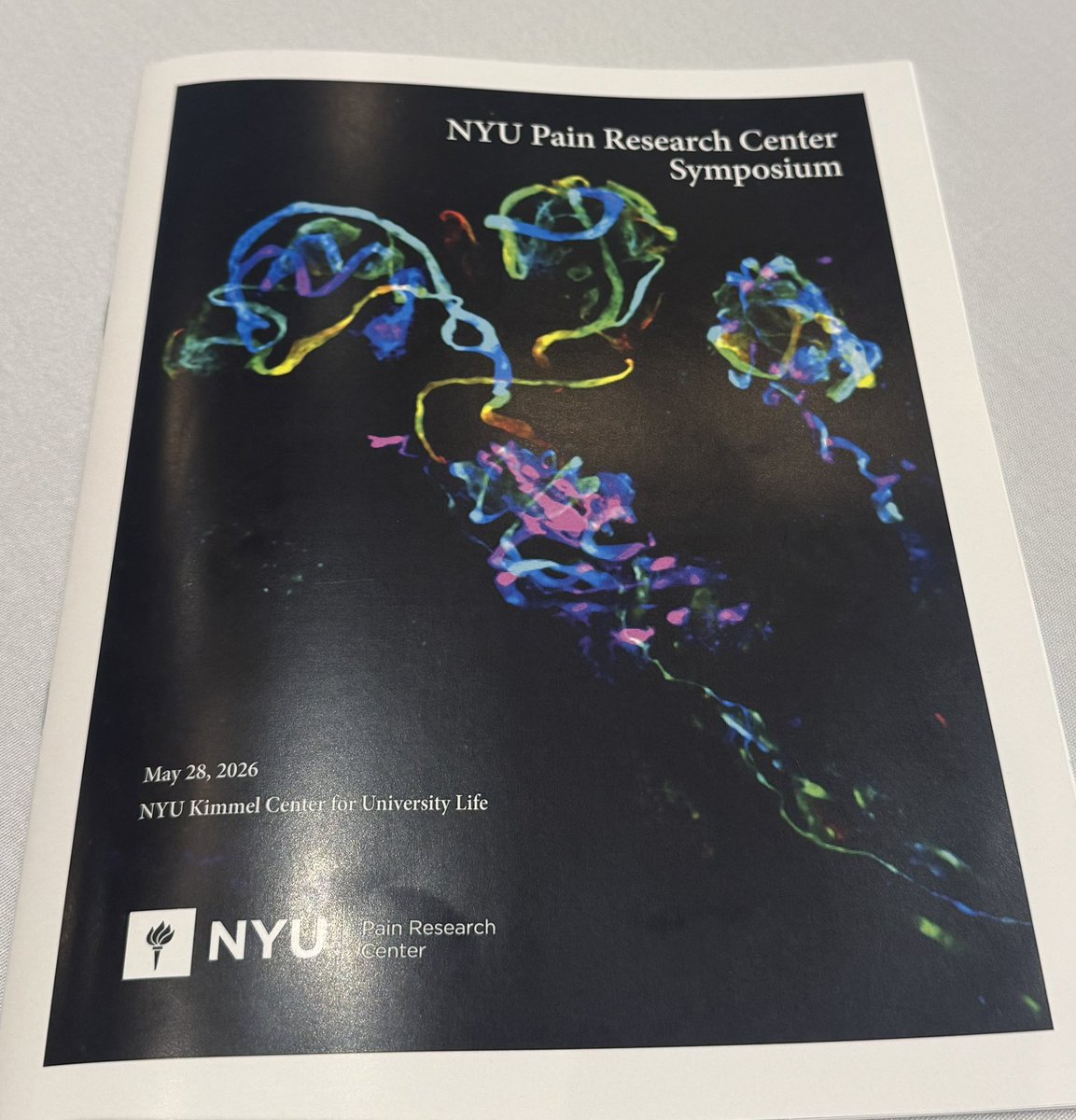 Dr_NOvchinsky's tweet photo. Great day @NYUPainResearch 
Symposium👏🏼
❇️ Powerful reminder of how closely basic science, translational research, and patient care are connected
➡️Grateful to connect & learn from colleagues pushing the field toward more precise, patient-centered therapies🧬 
✴️@karagm2009 
Kara Margolis, MD, gave a thought-provoking talk on serotonergic signaling in gut–brain health & clinical implications for mood and abdominal pain in #DGBI 
#PainResearch #GutBrainAxis #TranslationalResearch #NYU
@NYUDental