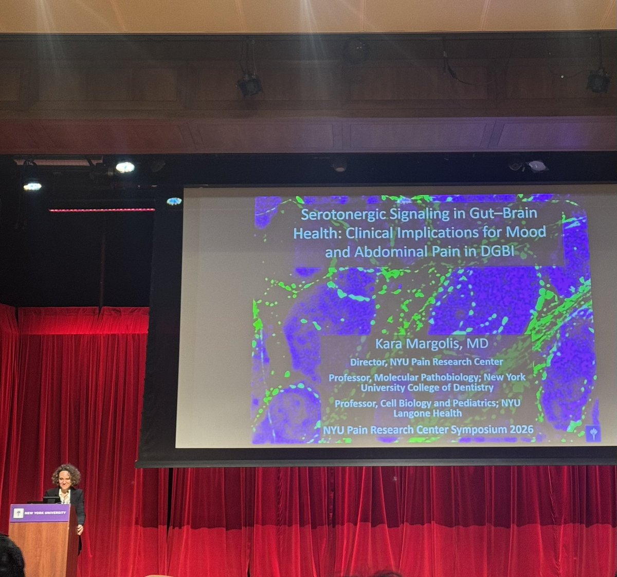 Dr_NOvchinsky's tweet photo. Great day @NYUPainResearch 
Symposium👏🏼
❇️ Powerful reminder of how closely basic science, translational research, and patient care are connected
➡️Grateful to connect & learn from colleagues pushing the field toward more precise, patient-centered therapies🧬 
✴️@karagm2009 
Kara Margolis, MD, gave a thought-provoking talk on serotonergic signaling in gut–brain health & clinical implications for mood and abdominal pain in #DGBI 
#PainResearch #GutBrainAxis #TranslationalResearch #NYU
@NYUDental