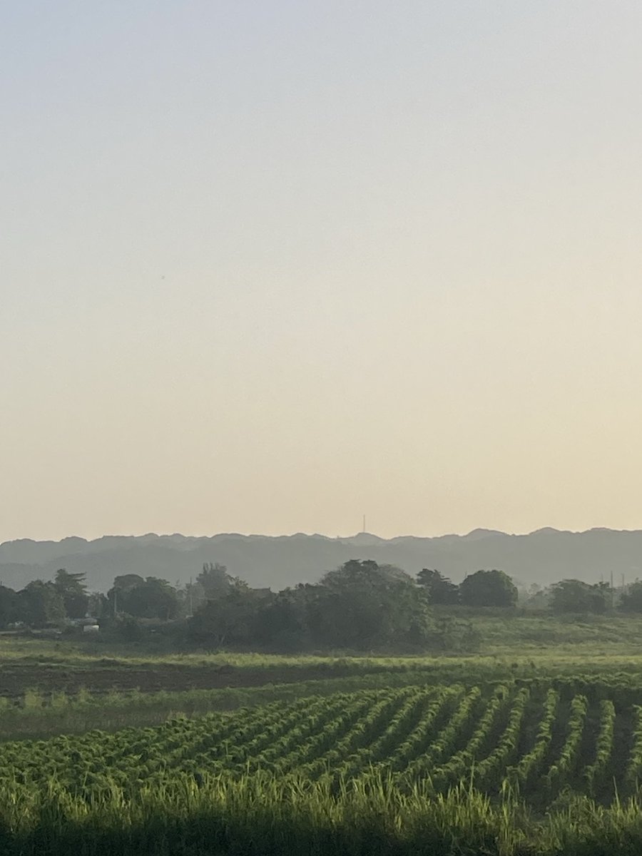 GuaybanaJota's tweet photo. Buenos días 😃☀️🌞 Feliz viernes 🇵🇷‼️ Así se ve el panorama desde el Valle de Coloso con vista hacia las Lomas Jaicoa‼️ 6:33AM✨29mayo26
#Labruma #PolvodelSahara https://t.co/4EsPOtW7WR