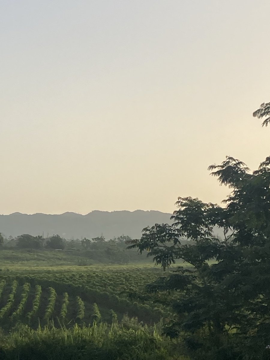 GuaybanaJota's tweet photo. Buenos días 😃☀️🌞 Feliz viernes 🇵🇷‼️ Así se ve el panorama desde el Valle de Coloso con vista hacia las Lomas Jaicoa‼️ 6:33AM✨29mayo26
#Labruma #PolvodelSahara https://t.co/4EsPOtW7WR