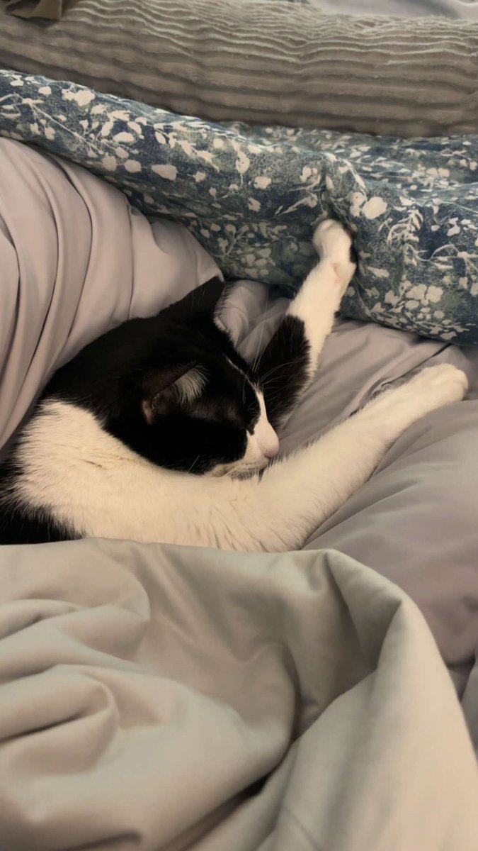 MorganSpangler's tweet photo. Look at him!!! https://t.co/iQbA0E5HGi