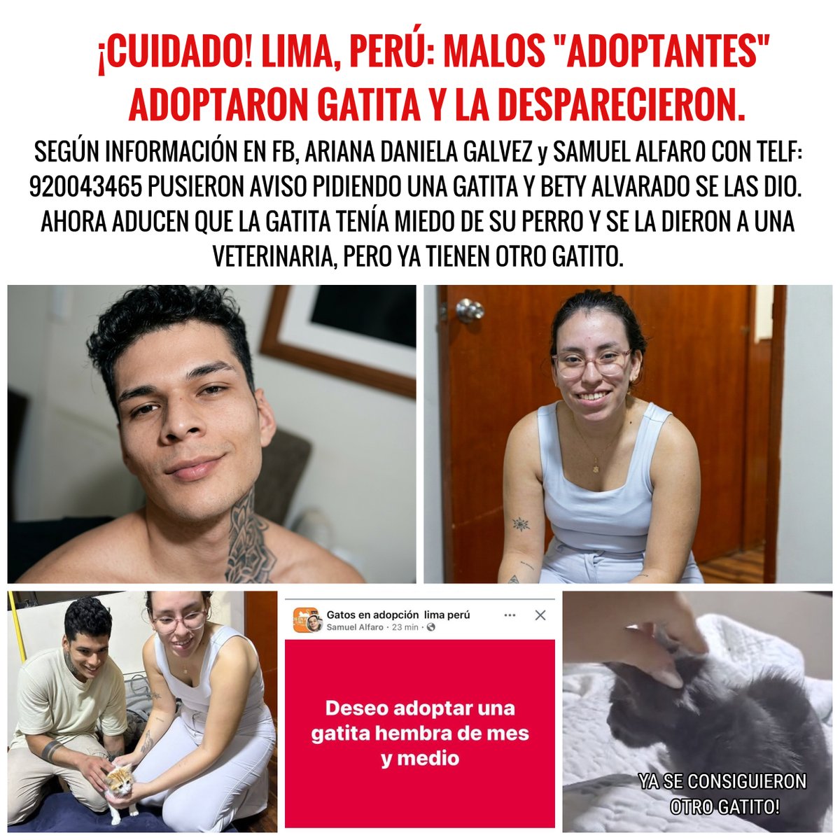 ALCE Perú🐸🐶🐱🐰🐯🐣🐮🐷🐳🐵🐢 tweet media