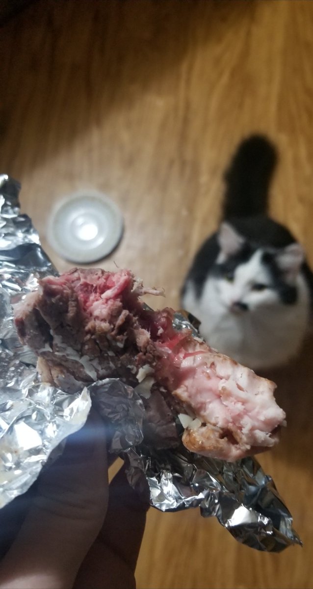 MaxUwUNoon's tweet photo. im so hungry for cold steak in tinfoil https://t.co/veuDjkoWaX